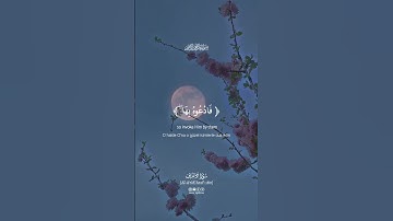 ولله الأسماء الحسنى فادعوه بها #kuranıkerim #سورة_الأعراف #quran #أبو_بكر_الشاطري