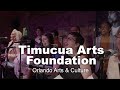 Orlando arts  culture timucua arts foundation  visit orlando