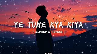 Yeh Tune Kya Kiya | One upon the time in mumbaai | Javed Bashir | [ Slowed reverb ] | LO-FI song