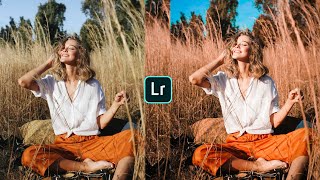 Autumn Fall Tone Lightroom Photo Editing Tutorial In Mobile||Art Picture||PicsArt||Snapseed #shorts screenshot 4