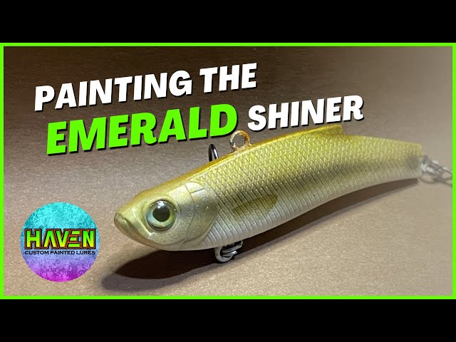 Quick and Easy Painting of a Shiner Lure! #lure painting 