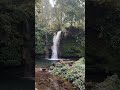 mesmerising♥️ #waterfall #jimcorbettuttarakhand #shorts #waterfallbeauty #wildlife #love