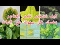 طريقه سهلة وبسيطة لمعرفة نقص العناصر الغذائية علي النبات