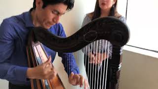 Miguel Salas y Lesly Cabello con Arpa| Borde de un Alizo chords