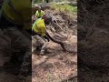 Only in Australia… 🐍