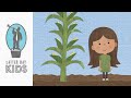 Faith is Like Planting a Seed | Animated Scripture Lesson for Kids