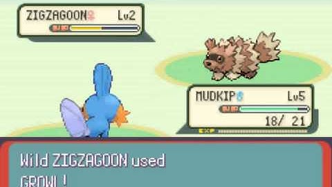 Pokemon Emerald Mudkip Solo Run Part 1: So i herd we start our adventure