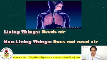 Learn From Home -  Science P.2 (Week 1)