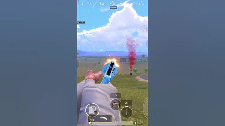 246m with revolver 😯