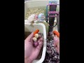 🔴Live Street Food Cooking | Fast Chef Skills, Fresh Taste &amp; Food Lovers Cam