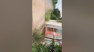 chủ đang cần bán 16 mét đất nền tại xã Lộc Thành Lộc Ninh B Phước chiều sâu 40 m giá 80 triệu mét