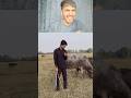 TRY NOT TO LAUGH CHALLENGE 😂 | WAIT FOR END | MJW PT117 #trynottolaugh #funnyvideo #viral