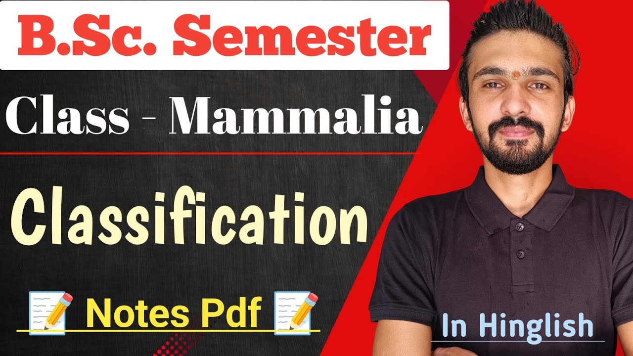 Mammals Classification || Classification Of Mammalia || Bsc Semester || By Dadhich Sir