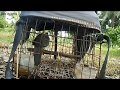 Pikat Suara Tekukur Memanggil Temanya Cocok Untuk Pikat Dan Master Burung Macet Bunyi Mp3 - Mp4 Download