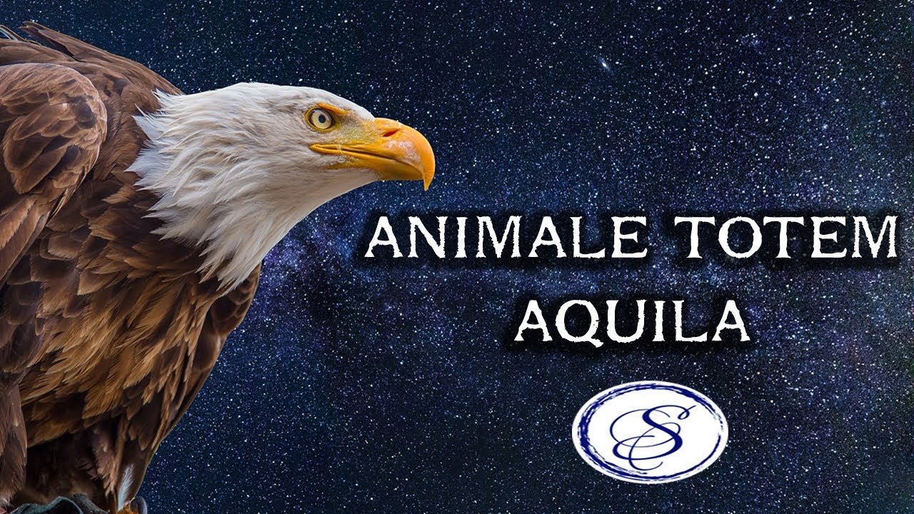 ANIMALE TOTEM - L'AQUILA