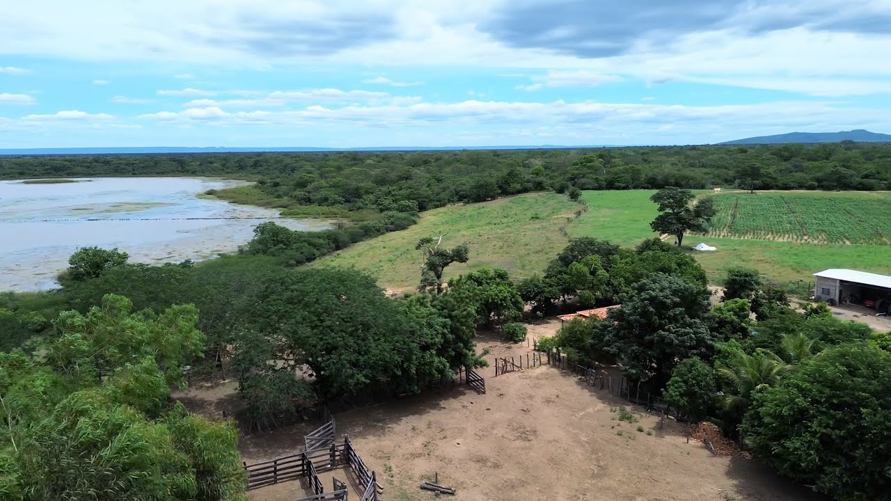 Fazenda 100% plana. 780 hectares à venda no Oeste da Bahia.