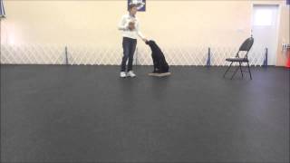 Sit Stay Exercises for Competition Obedience