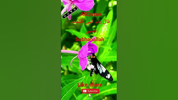 #القران_الكريم #تلاوه_خاشعه #قال رب انیی ظلمت نفسی #اكسبلور #foryou