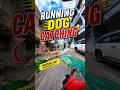 City Street Dog Catching Mission #dog #rescue #streetdogrevival #ytviral #pets