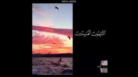 أرح قلبك تلاوة خاشعة ( التَّائِبُونَ الْعَابِدُونَ الْحَامِدُونَ السَّائِحُونَ) سورة التوبة آية ١١٢