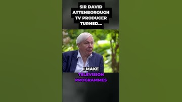 The Shocking Truth About TV Producer