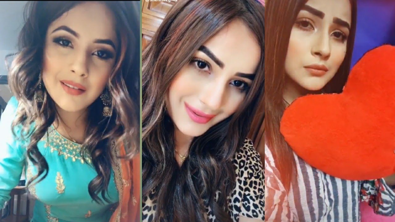 Shehnaz gill tik tok musically|shehnaz gill tim tok| shehnaz gill new tik tok
