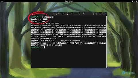 How to Fix Double Linux Shown in UEFI Boot Menu?
