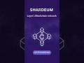 Shardeum - Layer 1 Blockchain Network #crypto #blockchain #sphinx #shardeum