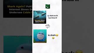 POV: Pakistan internet meets Le Shark 😭🦈#Shorts #Pakistan #Meme #Funny #LeShark #Viral