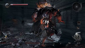 Nioh - Onryoki at Level 1 No Dodging, Rolling or Blocking Flawless Kill