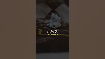 تلاوة خاشعة _ قرآن كريم _راحة نفسية #tiktok #لايك #اكسبلور