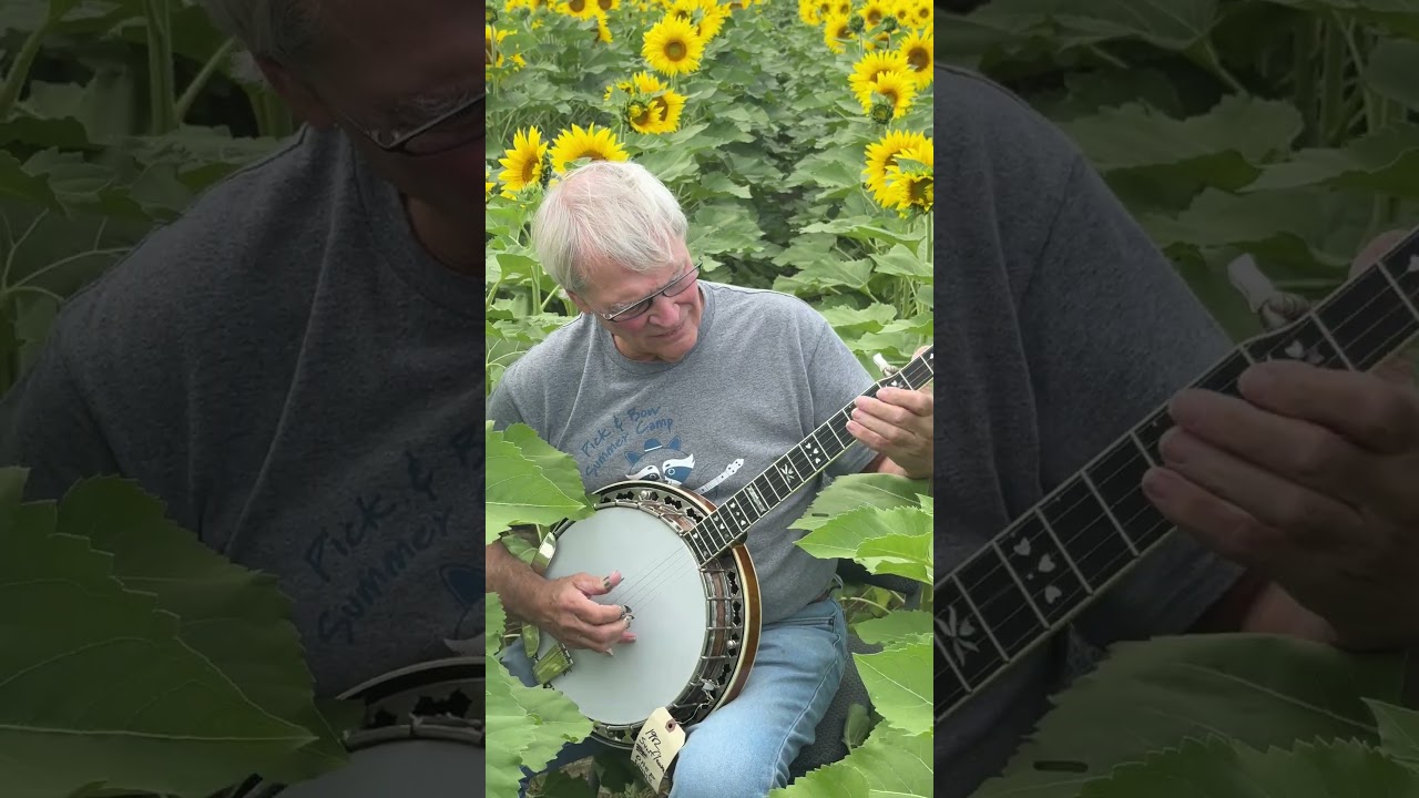 🌻 Playing 1982 Stelling Sunflower Banjo in Ohio Sunflower Field | Banjo Warehouse