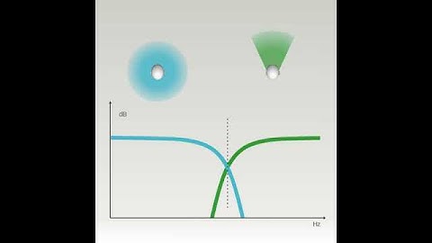 ReSound Feature Demo - Directional Mix