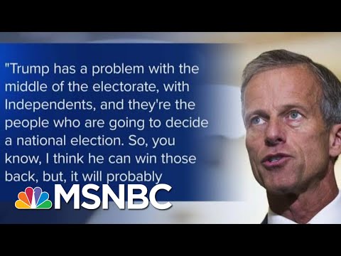 Sen. Thune: President Trump 'Has A Problem With The Middle Of The Electorate' | MTP Daily | MSNBC