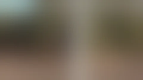 Squirrel Hunting Pennsylvania