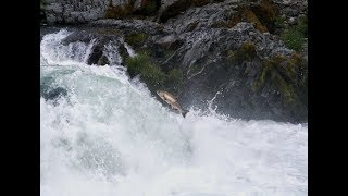 Agent of the Wild Episode 1 Castle Rock Fork Creek