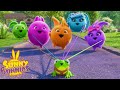 Summertime Walk Sunny Bunnies Cartoons For Kids 