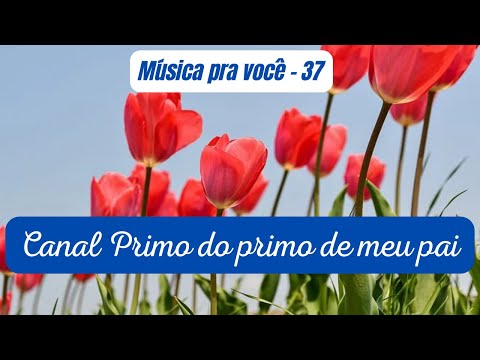 MÚSICA PRA VOCÊ!!!    #investimentos #youtube #bolsadevalores