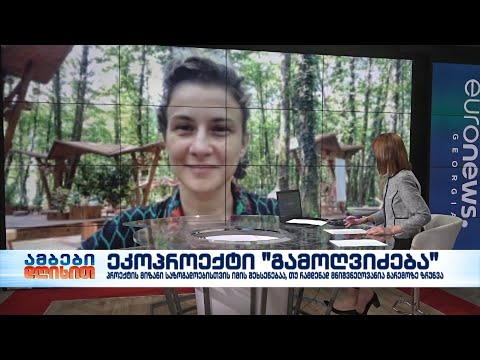 ციცი იაშვილი - \"მუსიკოსთა პარკის\" პროექტების მენეჯერი