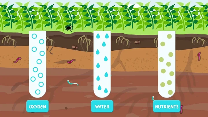 What is soil organic matter and how is it formed?