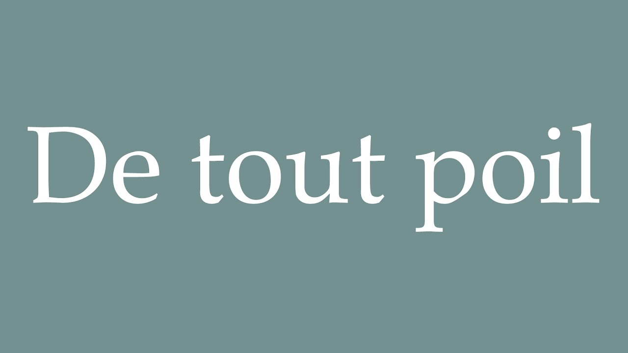 How to Pronounce ''De tout poil'' (All over the place) Correctly in