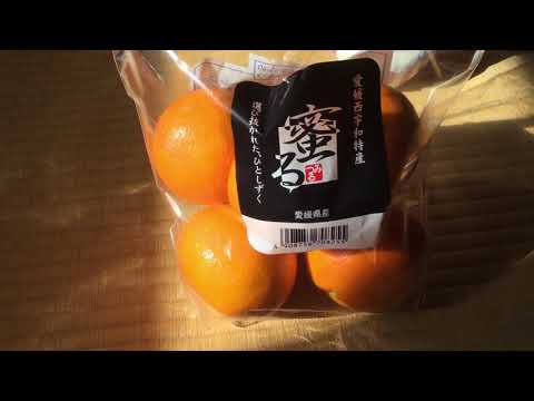 蜜るいよかん 蜜るいよかん