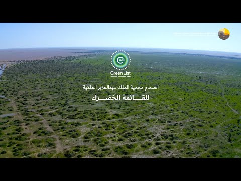 بخطوات مدروسة وجهود متضافرة انضمت محمية الملك عبدالعزيز الملكية إلى القائمة الخضراء الدولية