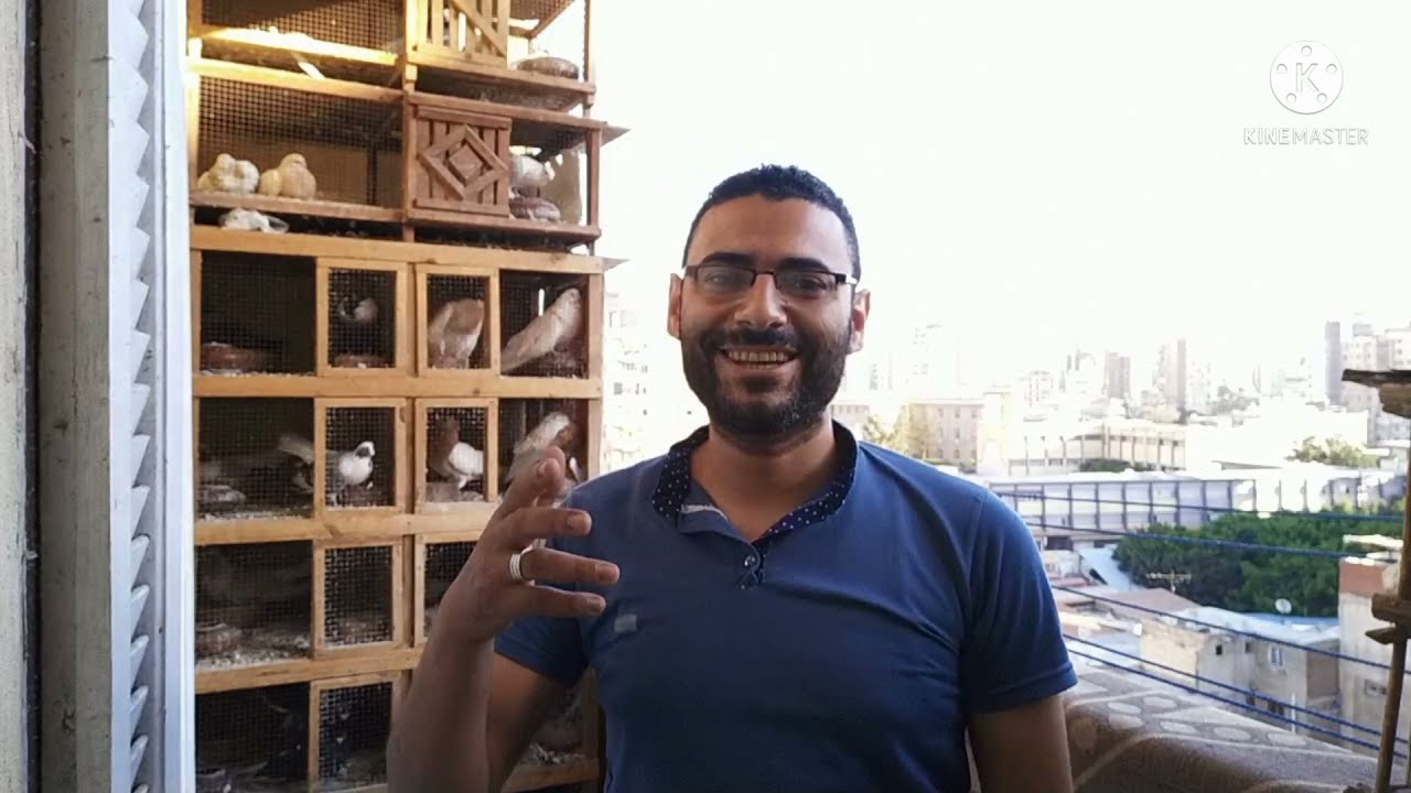 لو متفرجتش🤛❤️ يبقي فاتك كتير💪 #(الأحمر غزار )وجماله في مواصفاته#sheko_ابوحسن