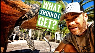 Time to get a NEW Snake! by Kamp Kenan 26,186 views 2 months ago 25 minutes