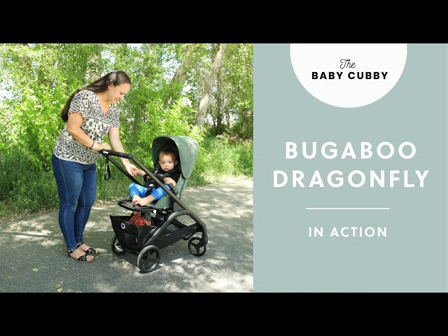 Bugaboo Bee6 vs. Dragonfly Stroller, Snuggle Bugz