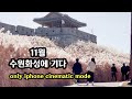 11월 억새에 덮힌 수원화성 - 아이폰 시네마틱 모드로만 쵤영( HDR 4K)