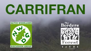Carrifran Wildwood | Grassroots Ecological Restoration on a Landscape Scale