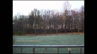Time lapse:21 days in half a minute
I just took a picture out the back door every day until all the leaves were off the trees. Time lapse:21 days in half a minute