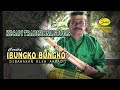 Kecapi Bugis IBUNGKO BUNGKO Oleh AHMAD Official video music